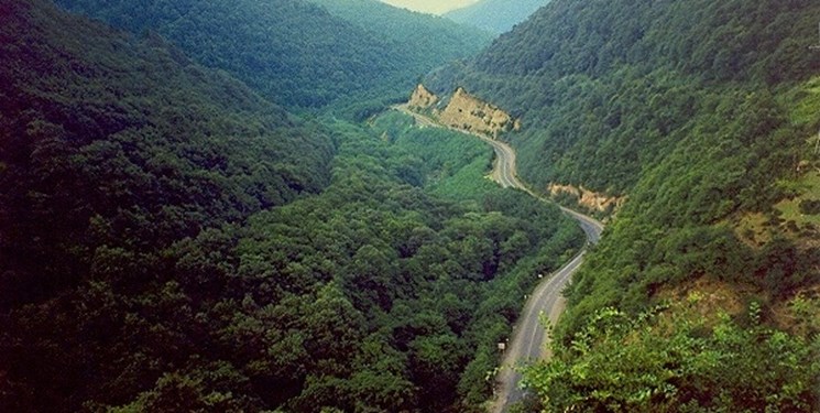 ارزیابی جنگل‌های دیزمار آذربایجان شرقی در راستای ثبت جهانی