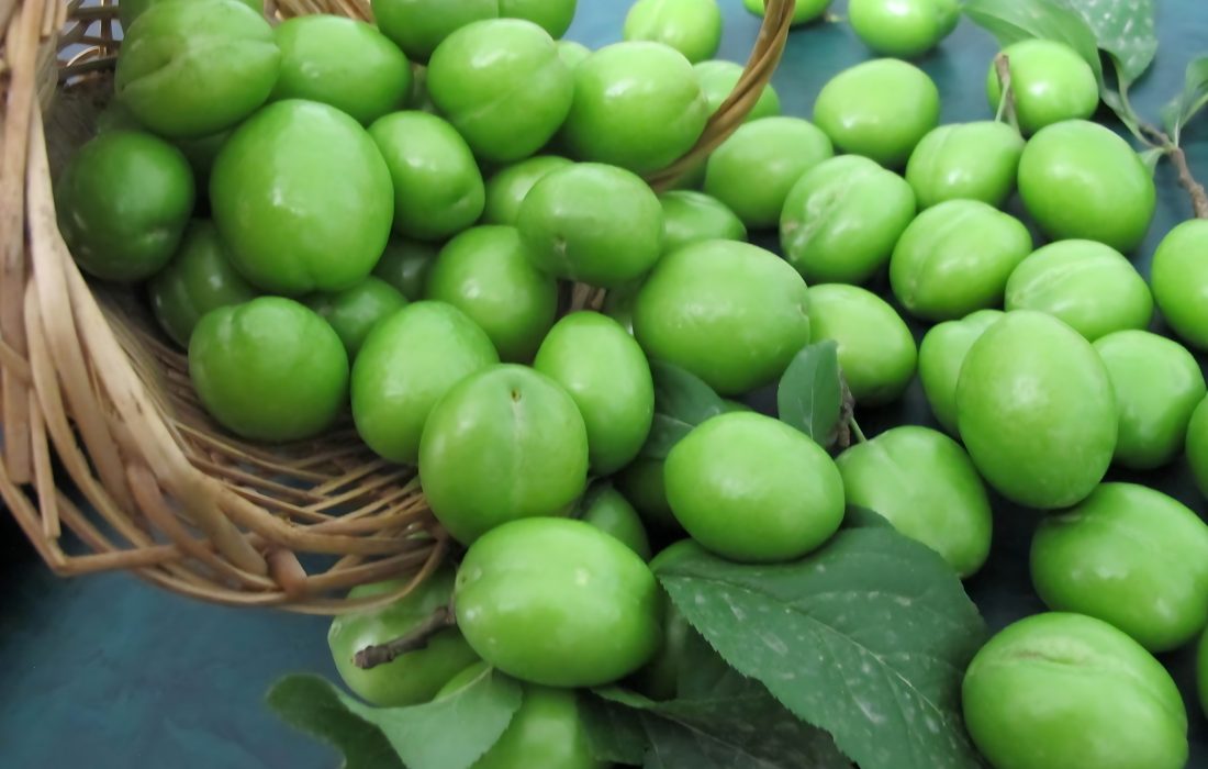 رتبه دوم کشوری در تولید گوجه سبز، سهم آذربایجان شرقی