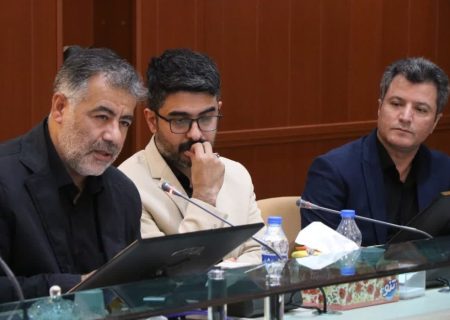 تأکید بر اهمیت وحدت و آرامش در نشست تخصصی شبکه ایران یاران جوان