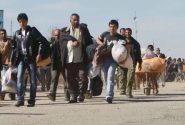 جمع‌آوری ۱۰۰ تبعه غیرمجاز خارجی در آذربایجان‌شرقی