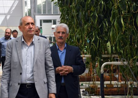 پیش‌بینی اشتغال ۱۸ هزار نفر در ۵ سال آینده