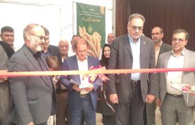 افتتاح گلخانه هیدروپونیک در مرند؛ گامی مؤثر در توسعه کشاورزی پایدار