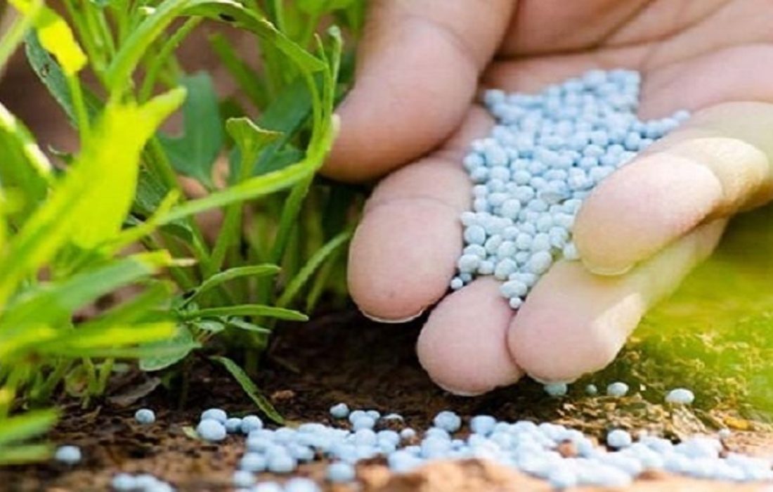 برنامه ریزی برای توزیع ۳ میلیون تن کود یارانه‌ای در بین کشاورزان