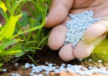 برنامه ریزی برای توزیع ۳ میلیون تن کود یارانه‌ای در بین کشاورزان