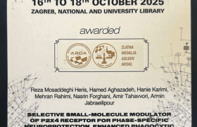 درخشش طلایی دانشمندان ایران در مسابقات جهانی ARCA 2025 کرواسی