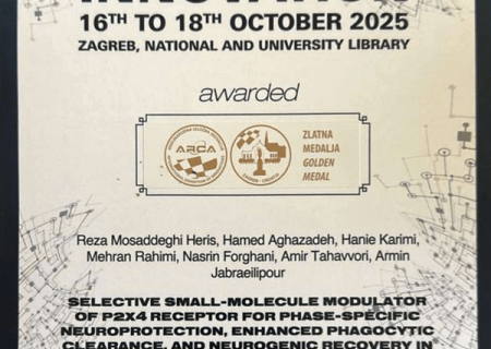 درخشش طلایی دانشمندان ایران در مسابقات جهانی ARCA 2025 کرواسی