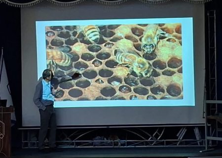 همایش زنبورداران کشور در مراغه