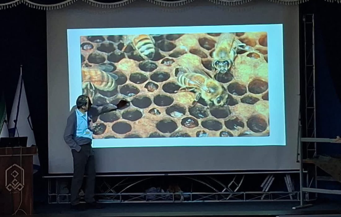 همایش زنبورداران کشور در مراغه