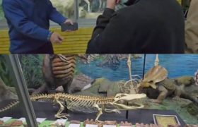 دانش، تجربه و تعهد به طبیعت؛ روایت یک بازدید الهام‌بخش دانشجویان دانشگاه ربع رشیدی از قلب حفاظت محیط زیست آذربایجان شرقی