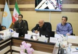 توجه به نیازهای جمعیت سالمندی در مطالعه طرح هادی روستاها