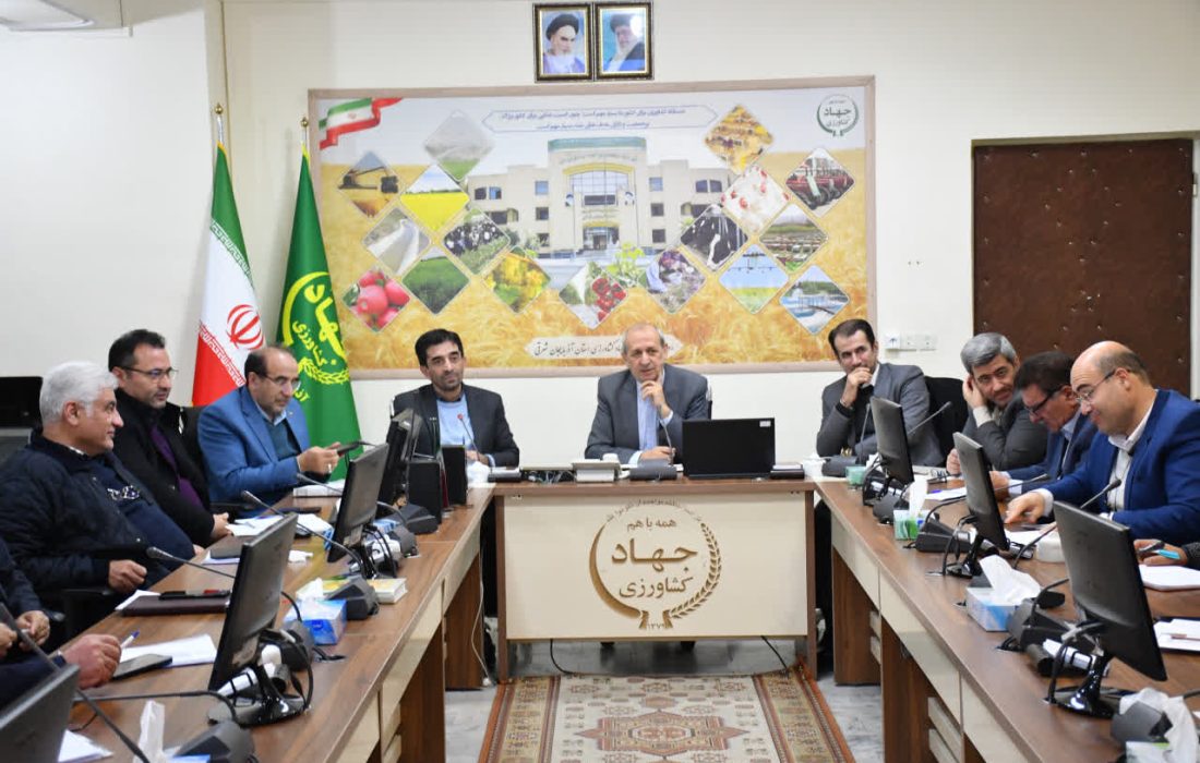 مرغداران هیچ نگرانی بابت تامین نهاده های مورد نیاز و فروش محصول خود نداشته باشند