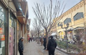 هرس درختان پیاده راه تربیت با رعایت اصول ایمنی