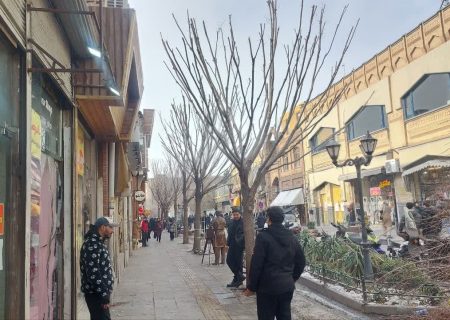 هرس درختان پیاده راه تربیت با رعایت اصول ایمنی