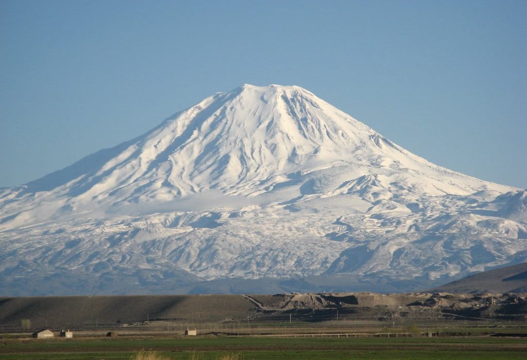 داستان یک حراج واقعی