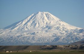 داستان یک حراج واقعی