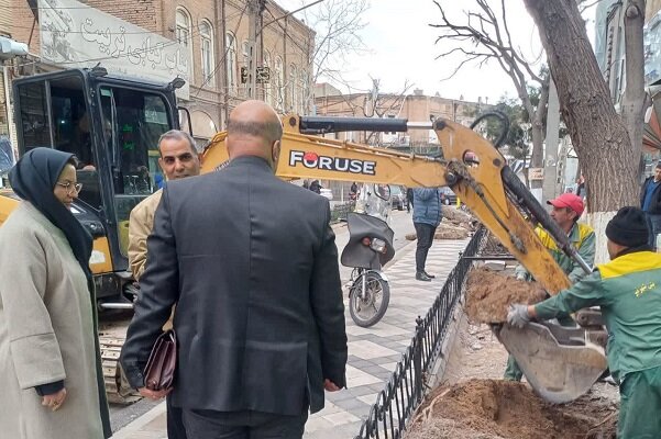 ایجاد بستر فضای سبز ۵۰۰ متر مربعی در پروژه سنگفرش تربیت غربی