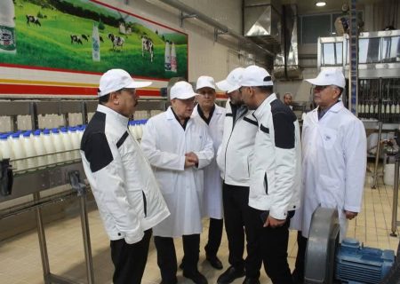 توسعه صنایع لبنی و همکاری با دامداران، راهی برای افزایش بهره‌وری و امنیت غذایی