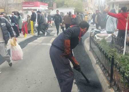 تداوم طرح استقبال از بهار در روزهای ابتدایی سال نو