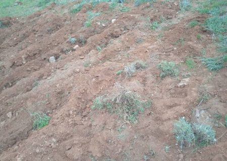 انتقال ۲۸ هکتار اراضی ملی برای ساخت مسکن روستایی به بنیاد مسکن آذربایجان‌شرقی