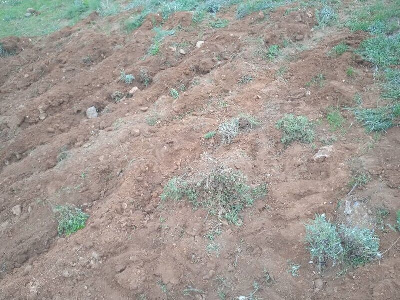 انتقال ۲۸ هکتار اراضی ملی برای ساخت مسکن روستایی به بنیاد مسکن آذربایجانشرقی