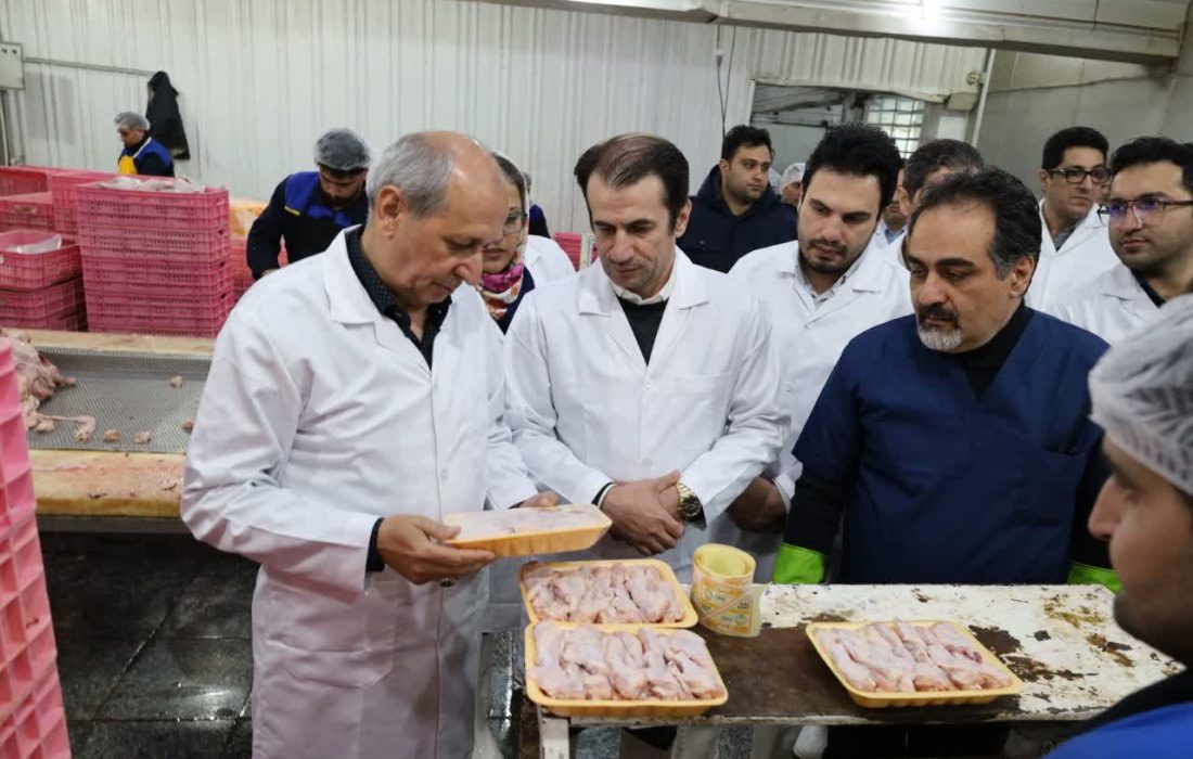 تولیدکنندگان گوشت مرغ در آذربایجان شرقی پای کار هستند