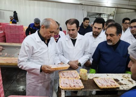 تولیدکنندگان گوشت مرغ در آذربایجان شرقی پای کار هستند