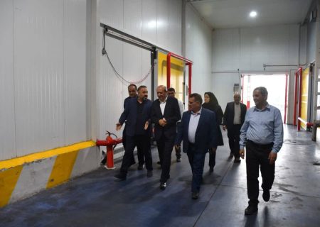 خرمای ایران از تبریز به بازارهای جهانی می‌رسد