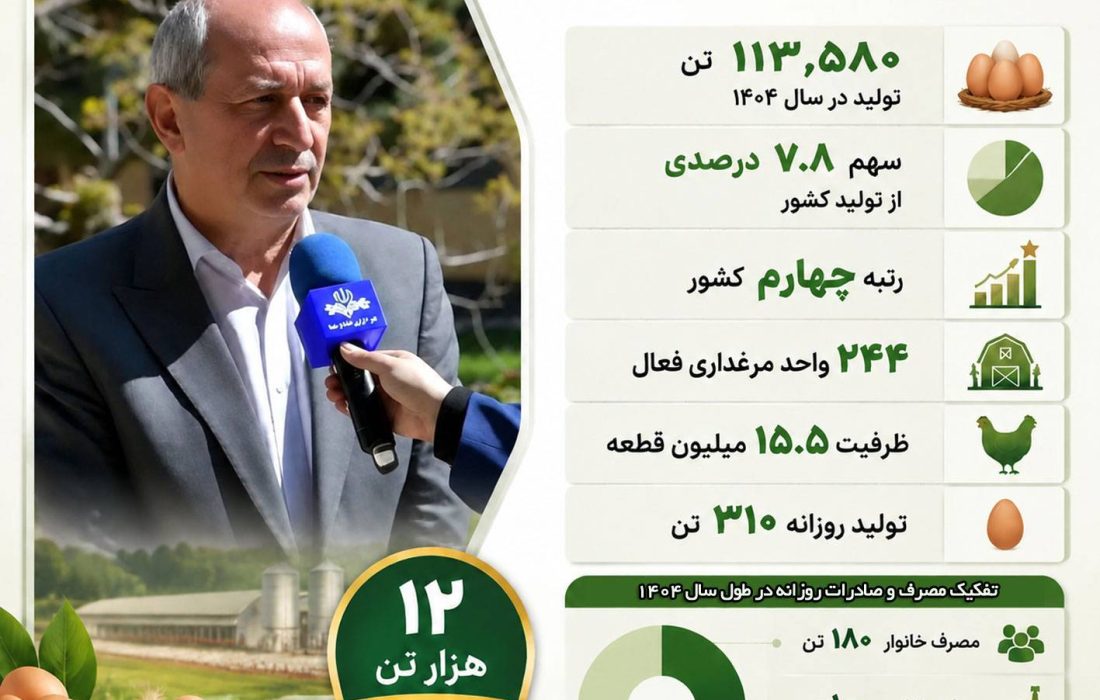 آذربایجانشرقی در جمع استانهای پیشتاز تولید تخممرغ کشور