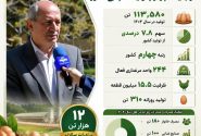 آذربایجان‌شرقی در جمع استان‌های پیشتاز تولید تخم‌مرغ کشور
