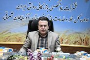 پیش بینی ۷۱ مرکز خرید تضمینی گندم در آذربایجان شرقی
