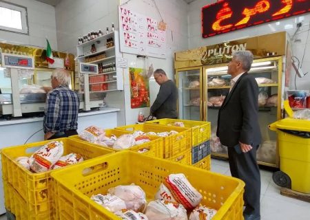 کاهش قیمت مرغ گرم در آذربایجان شرقی؛ تداوم نظارت‌ها برای تثبیت بازار