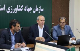 مراکز غیردولتی خدمات کشاورزی باید به بازوی افزایش تولید و انتقال دانش در روستاها تبدیل شوند