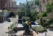 کاشت انواع گلهای فصلی در اماکن تاریخی و گردشگری منطقه ۸