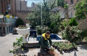 کاشت انواع گلهای فصلی در اماکن تاریخی و گردشگری منطقه ۸