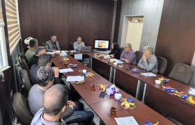 طرح پایلوت واکسیناسیون هاری جمعیت سگ‌ها در سراب با تشکیل اولین جلسه کمیته اجرائی کلید خورد