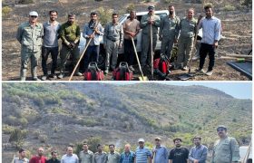 مهار کامل آتش‌سوزی درهفت هکتار از عرصه‌های جنگلی پارک ملی ارسباران