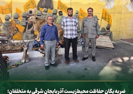 ضربه یگان حفاظت محیط‌ زیست آذربایجان شرقی به متخلفان؛ ادوات غیرمجاز شکار و صید ضبط شد