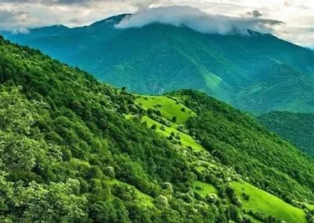 ارسباران و هوای پاک؛ محور هم‌اندیشی شورای پژوهش محیط زیست آذربایجان شرقی